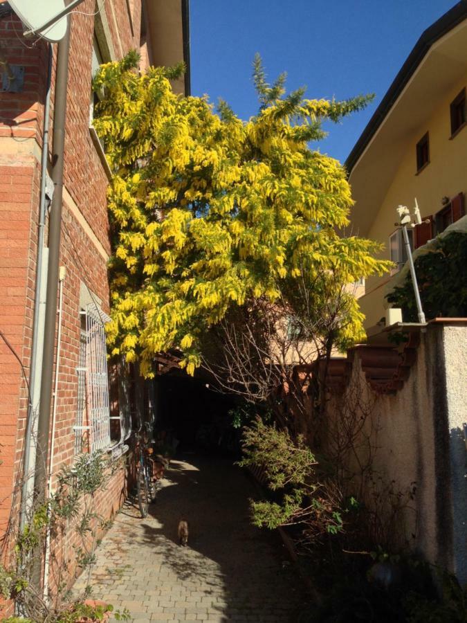 Casa Mimosa Apartment Viareggio Luaran gambar